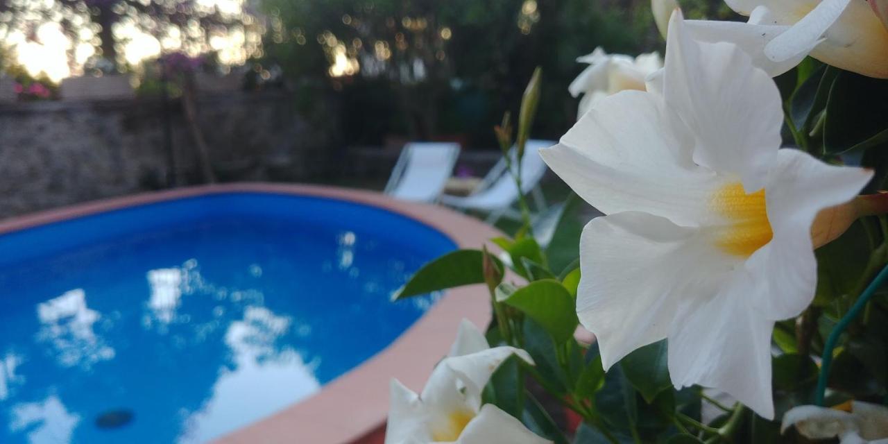 ايسكيا Villa Drina المظهر الخارجي الصورة